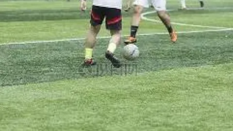 乐竞体育 资讯 113804 vrf